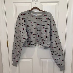 NWOT Cropped Champion Hoodie